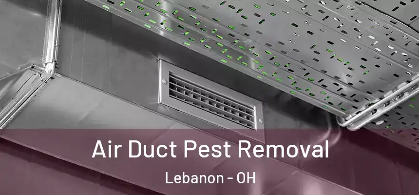  Air Duct Pest Removal Lebanon - OH