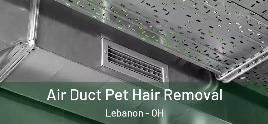 Air Duct Pet Hair Removal Lebanon - OH