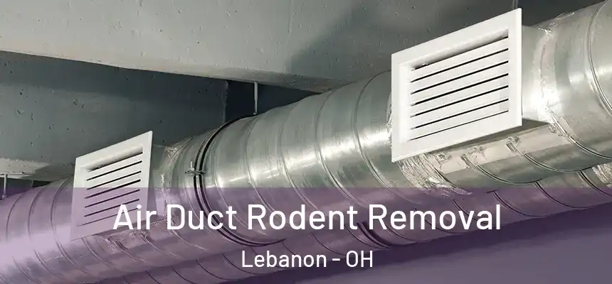  Air Duct Rodent Removal Lebanon - OH