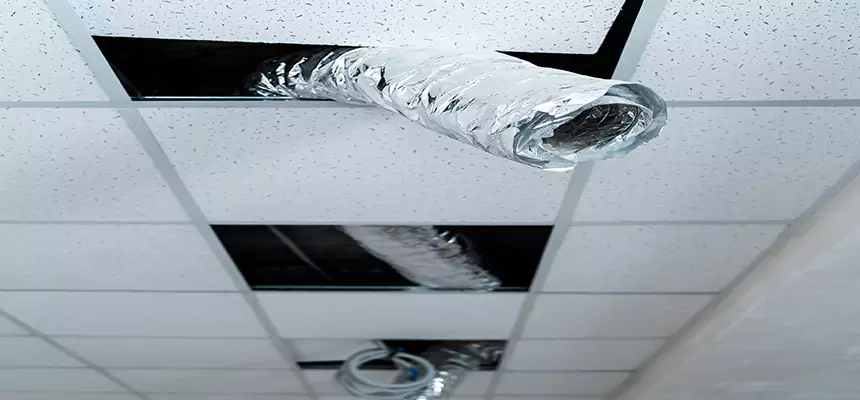 Our Air Duct Pet Hair Removal Services in Lebanon, OH