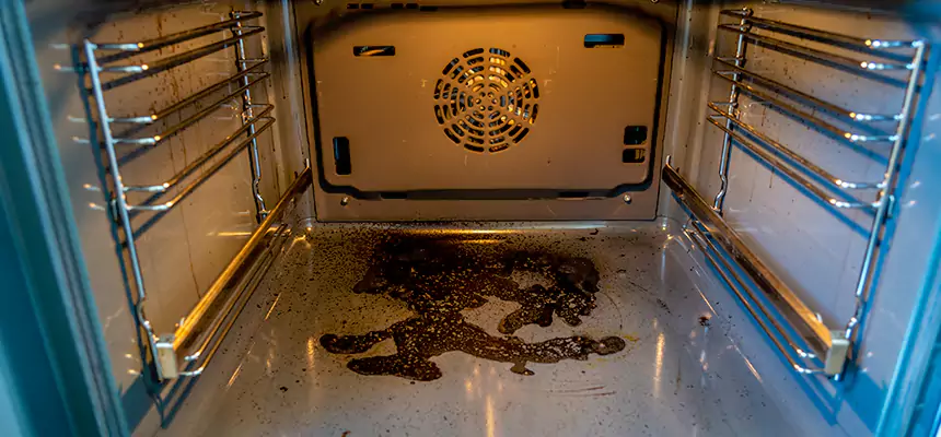 Our Dryer Vent Mold Cleaning Services in Lebanon, OH