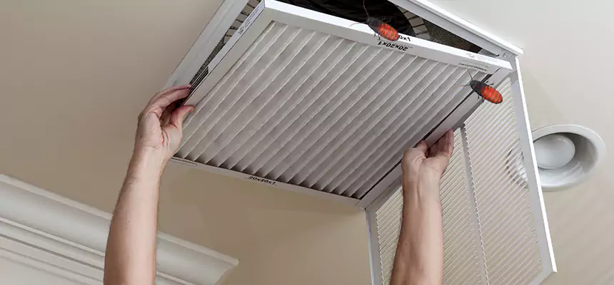 Our Insect Removal from Air Ducts Services in Lebanon, OH