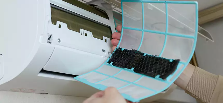 Gentle Ductwork Odor-Control Pet Dander Duct Cleaning in Lebanon, OH