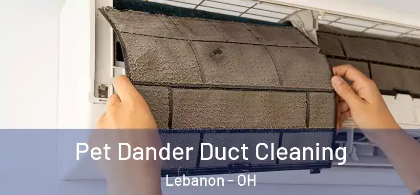  Pet Dander Duct Cleaning Lebanon - OH