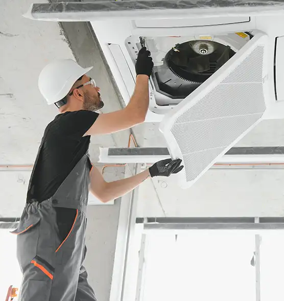 About Air Duct Rodent Removal in Lebanon, OH