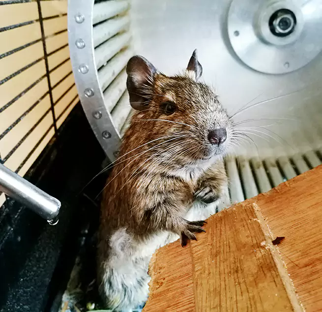 Why Homeowners & Businesses Trust Us Lebanon, OH